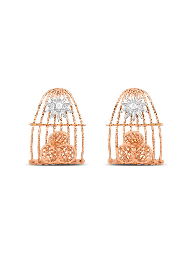 Caged Elegance Earrings