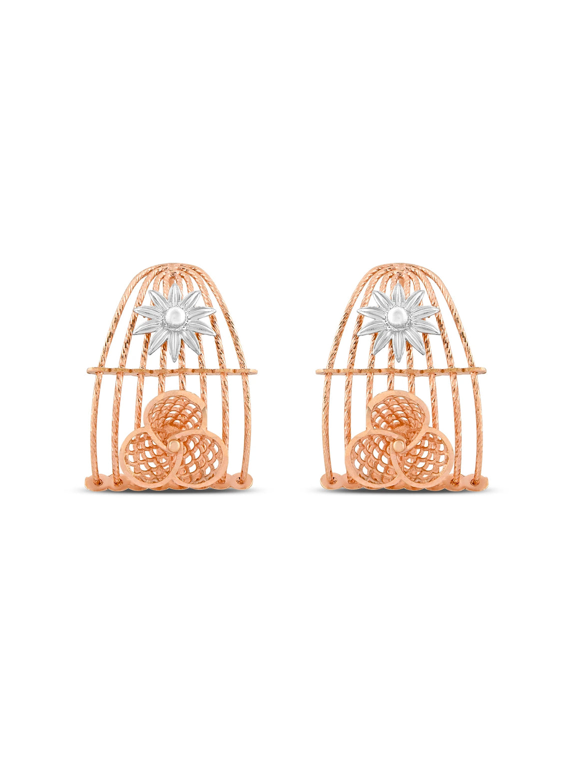 Caged Elegance Earrings